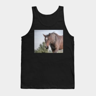 Curiosity Tank Top